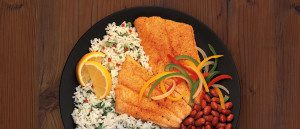 Catfish Fillet Plate