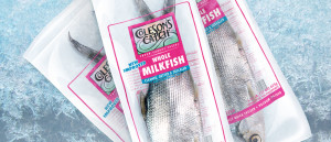 Whole Milkfish - Frozen